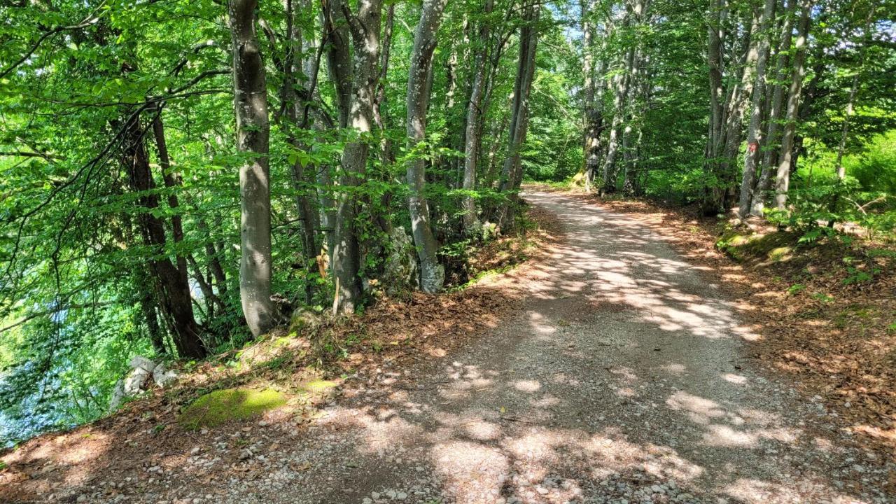 Plitvička Jezera B&B Plitvica Villa Prica מראה חיצוני תמונה