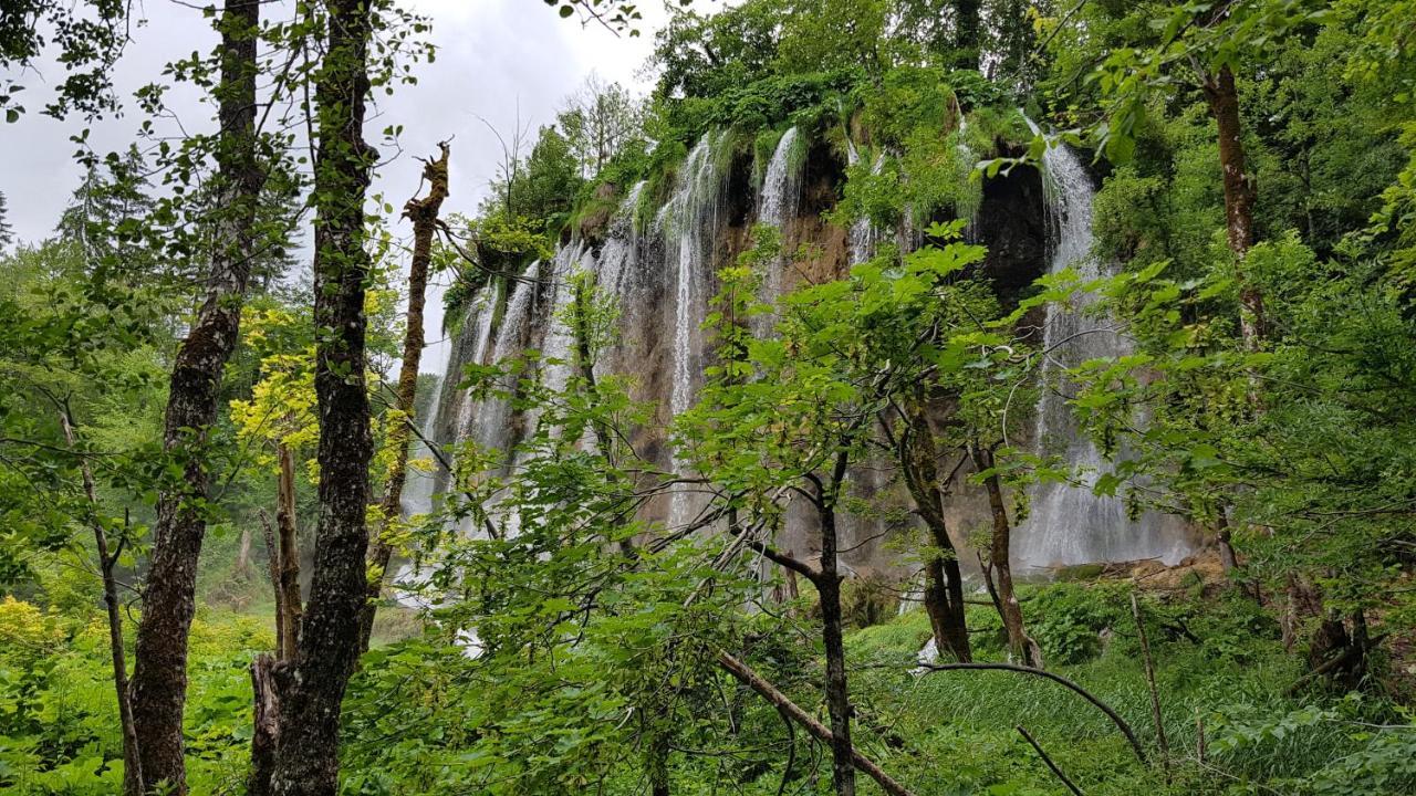 Plitvička Jezera B&B Plitvica Villa Prica מראה חיצוני תמונה